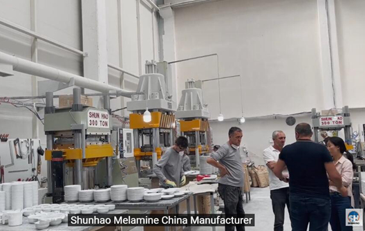 Shunhao Factory Machine de moulage de mélamine de 300 tonnes